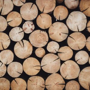 Woody Notes: Warm, Earthy, and Timeless Fragrances
